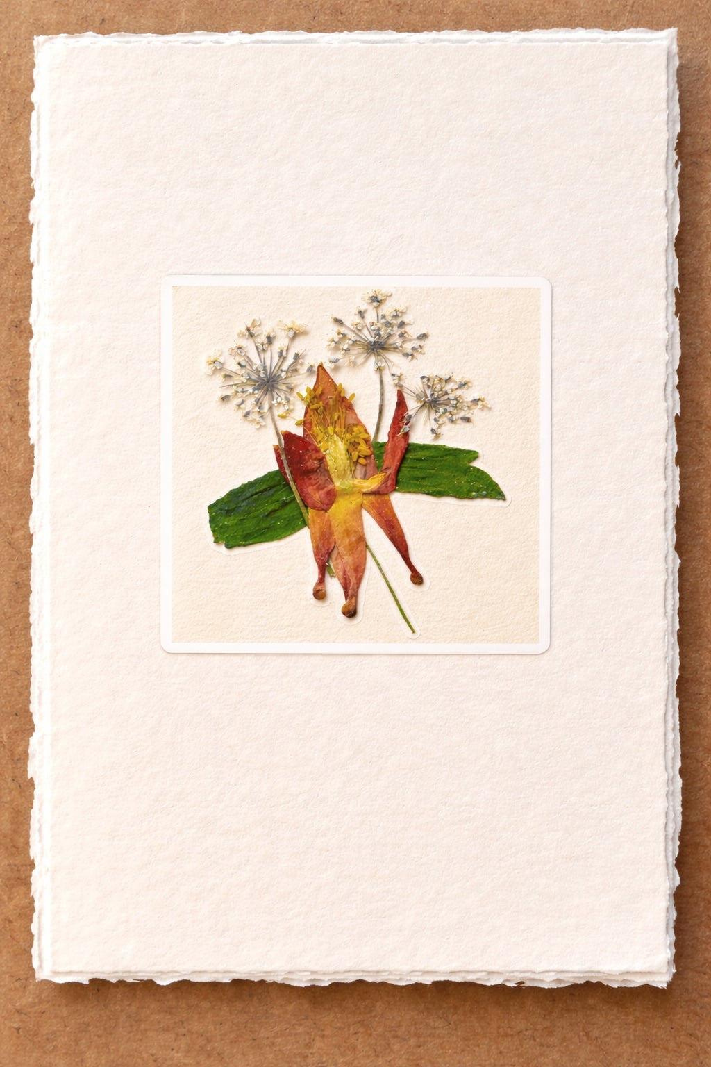 Pressed Nature Card Series by Raylene