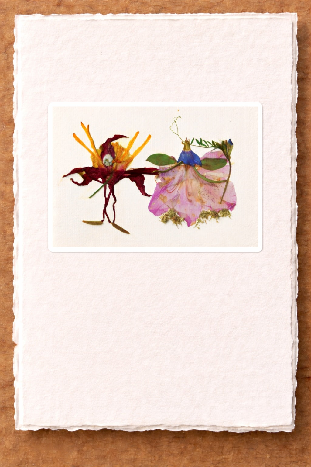 Pressed Nature Card Series by Raylene