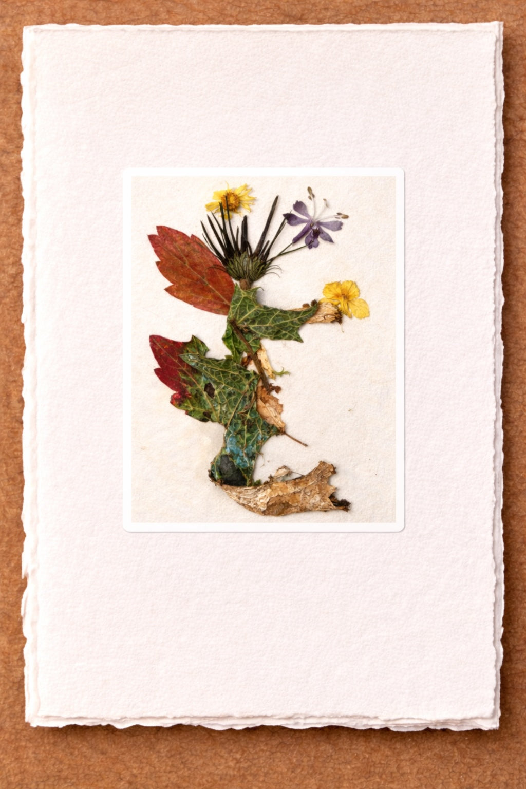 Pressed Nature Card Series by Raylene