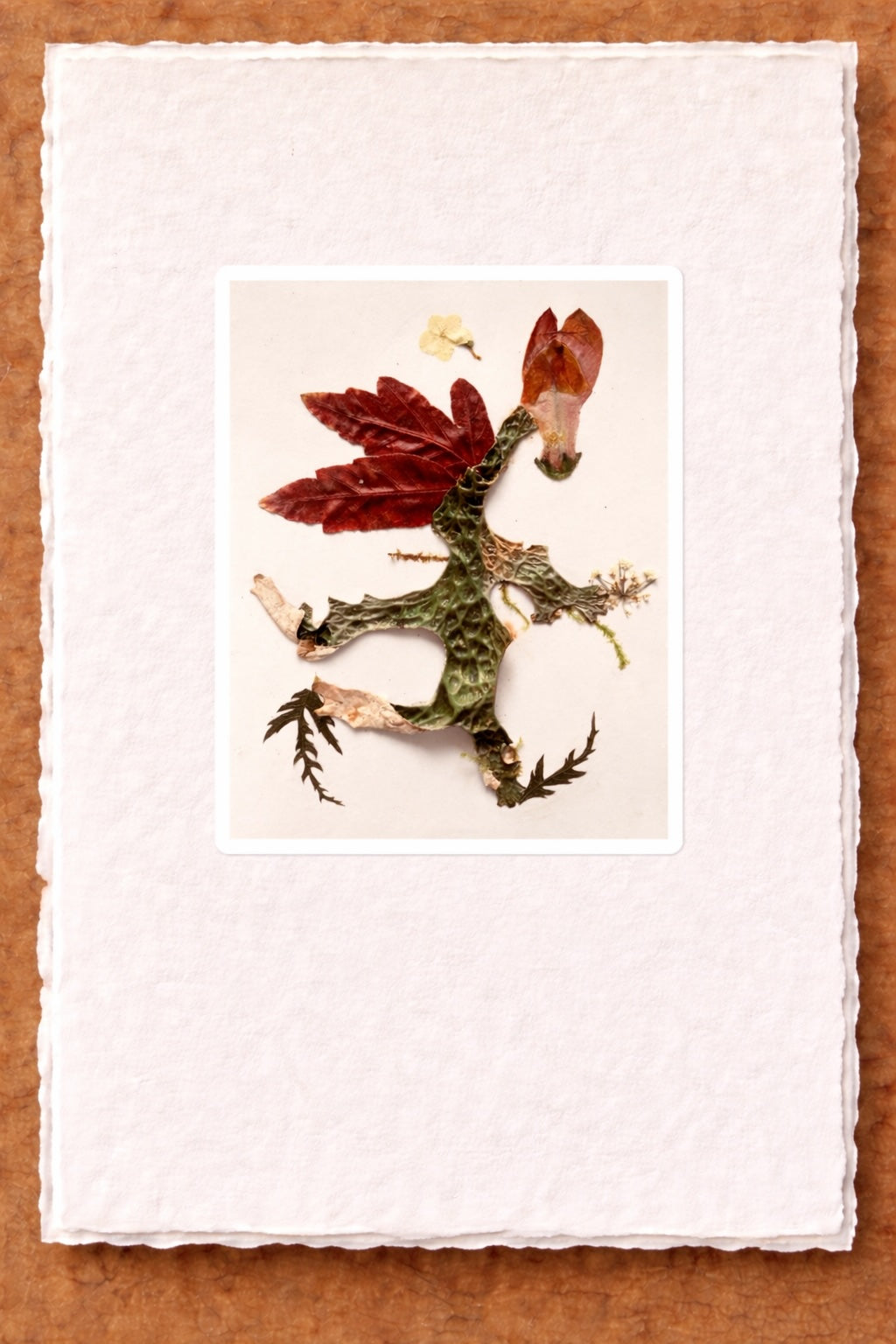 Pressed Nature Card Series by Raylene