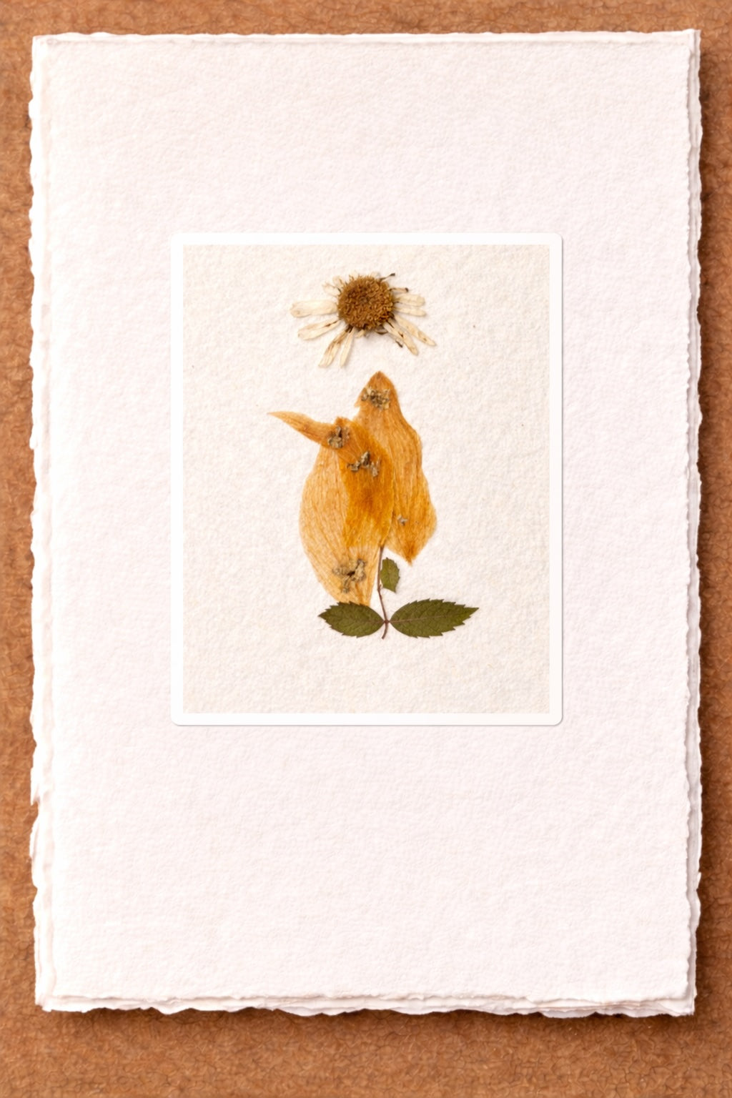 Pressed Nature Card Series by Raylene