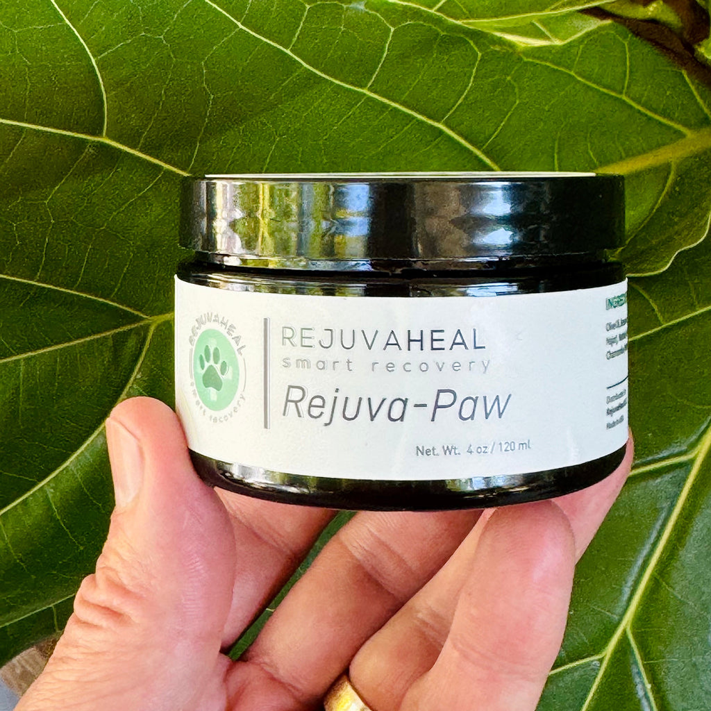 A hand holding a jar of Rejuvaheal Rejuva-Paw smart recovery cream against a background of large green leaves.