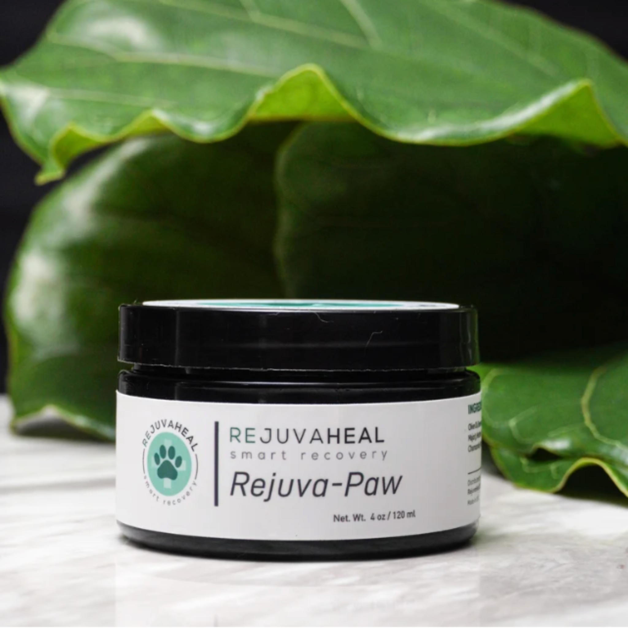 A black plastic jar of Rejuvaheal Rejuva-Paw pet supplement with a white label, set against a background of large green tropical leaves.