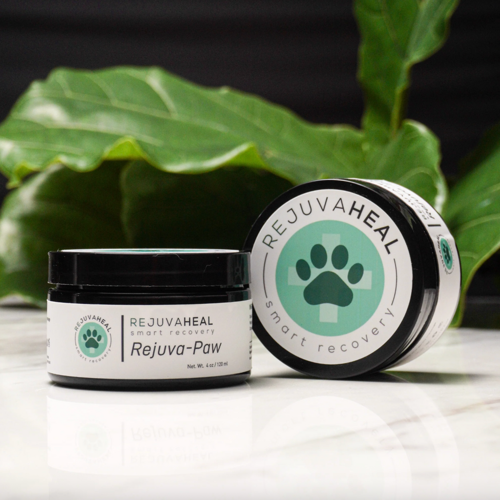 Two jars of Rejuvaheal Animal Therapy Rejuva-Paw pet supplement are displayed on a white marble surface with a dark background and green leaves. One jar is standing upright, showing the black lid and white label, while the other lies on its side, showing the front label with a green paw print logo.